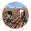 Field processing