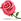 Red rose