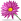 Chrysanthemum