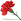 Clove