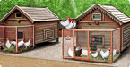 Poultry Market