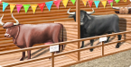 Cattle fair