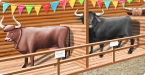 Cattle Fair