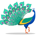 The Ordinary Peacock
