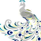 Royal peacock